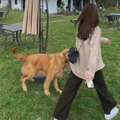 我所有的孩子
